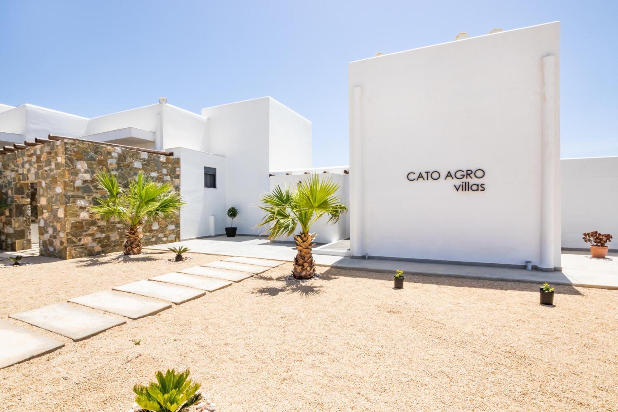 Cato Agro 3, Seafront Villa With Private Pool Afiartis Exterior photo